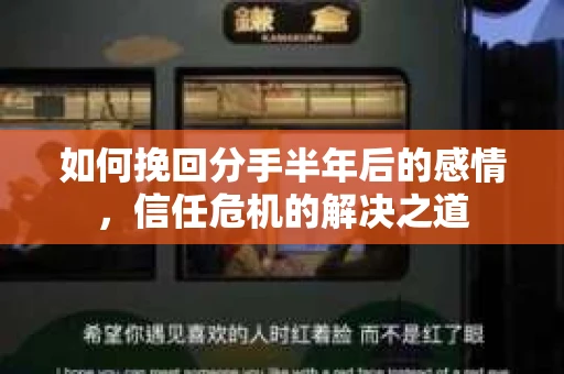 如何挽回分手半年后的感情，信任危机的解决之道