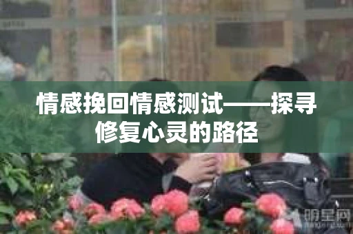 情感挽回情感测试——探寻修复心灵的路径