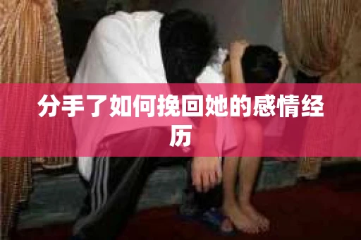 分手了如何挽回她的感情经历