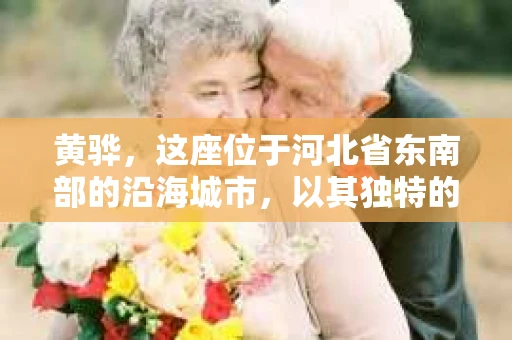 黄骅，这座位于河北省东南部的沿海城市，以其独特的地理位置和丰富的历史文化而闻名。然而，在这座城市中，还有一群人，他们以另一种方式默默守护着社会的公平与正义——私家侦探。今天，我们就来聊聊黄骅的私家侦探，看看他们是如何在这个城市中发挥作用的。