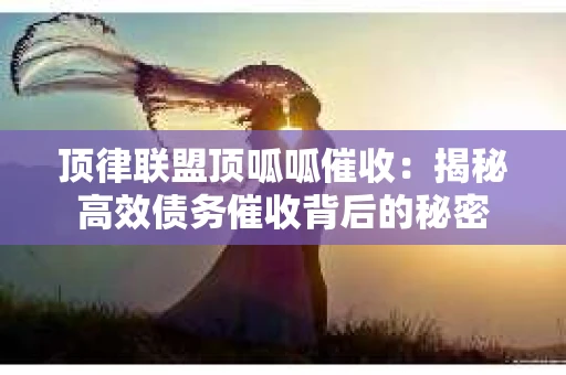顶律联盟顶呱呱催收：揭秘高效债务催收背后的秘密