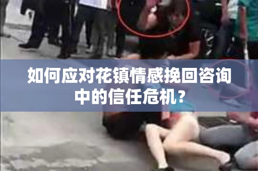 如何应对花镇情感挽回咨询中的信任危机？