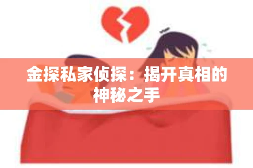 金探私家侦探：揭开真相的神秘之手