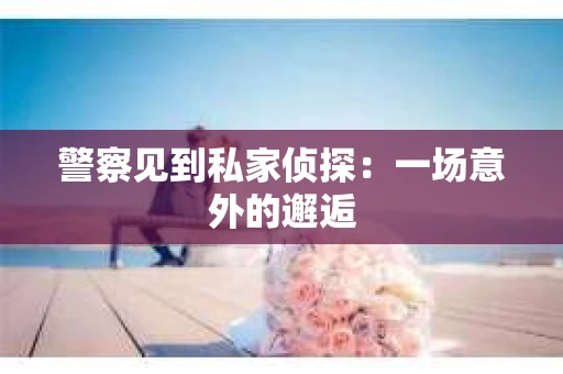 警察见到私家侦探：一场意外的邂逅