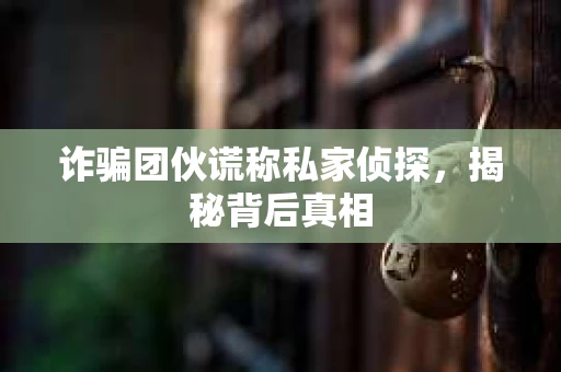 诈骗团伙谎称私家侦探，揭秘背后真相