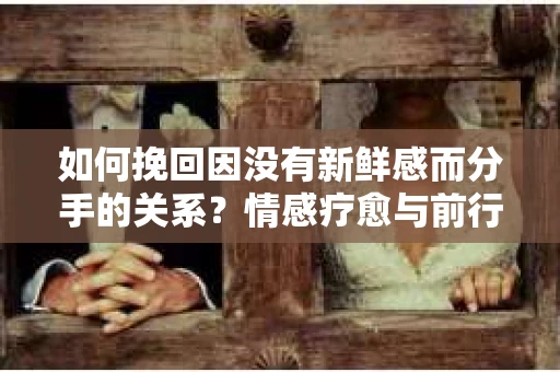 如何挽回因没有新鲜感而分手的关系?情感疗愈与前行计划 如何挽回因没有新鲜感而分手的关系?情感疗愈与前行计划