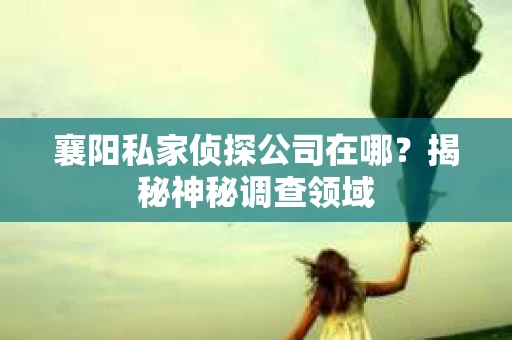 襄阳私家侦探公司在哪？揭秘神秘调查领域