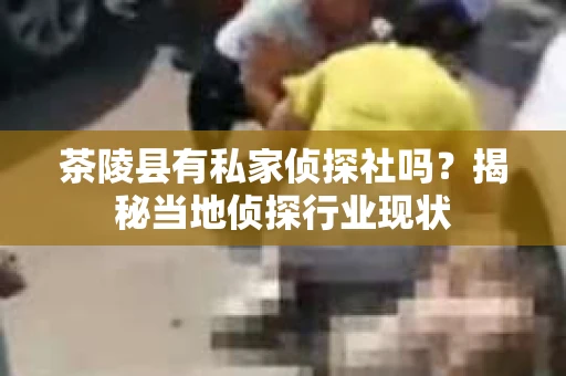 茶陵县有私家侦探社吗？揭秘当地侦探行业现状