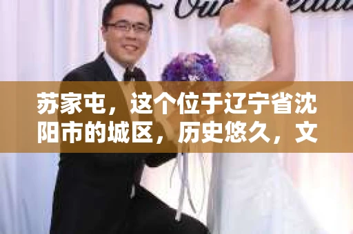 苏家屯，这个位于辽宁省沈阳市的城区，历史悠久，文化底蕴深厚。近年来，随着社会的发展，人们对于私家侦探的需求也逐渐增加。那么，苏家屯有私家侦探吗？今天，我们就来聊聊这个话题。
