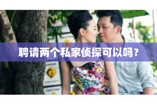 聘请两个私家侦探可以吗？