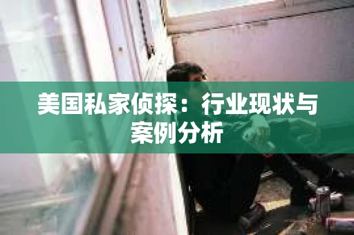 美国私家侦探：行业现状与案例分析