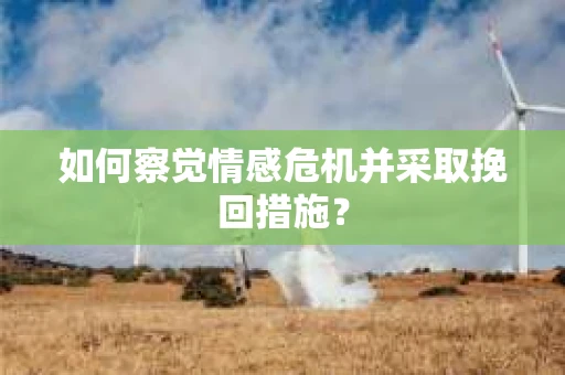 如何察觉情感危机并采取挽回措施？
