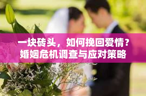 一块砖头，如何挽回爱情？婚姻危机调查与应对策略