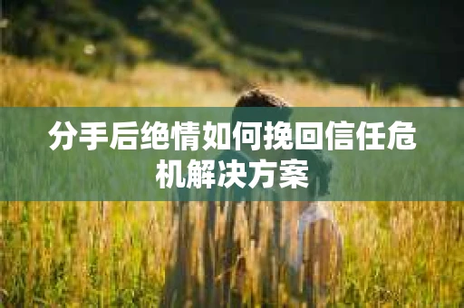 分手后绝情如何挽回信任危机解决方案