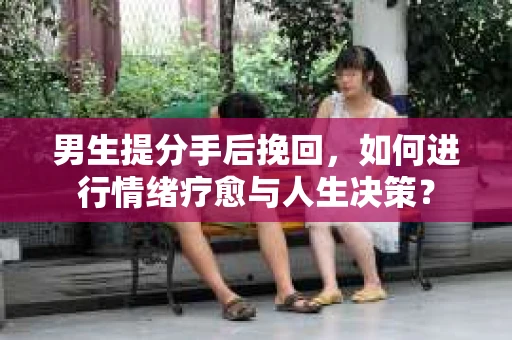 男生提分手后挽回，如何进行情绪疗愈与人生决策？