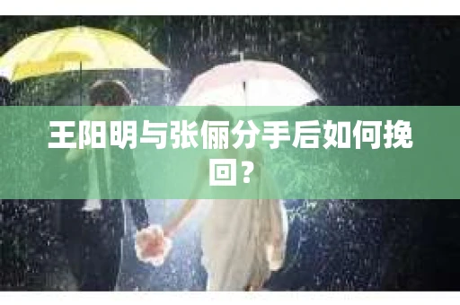 王阳明与张俪分手后如何挽回？