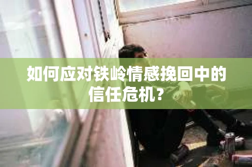 如何应对铁岭情感挽回中的信任危机？